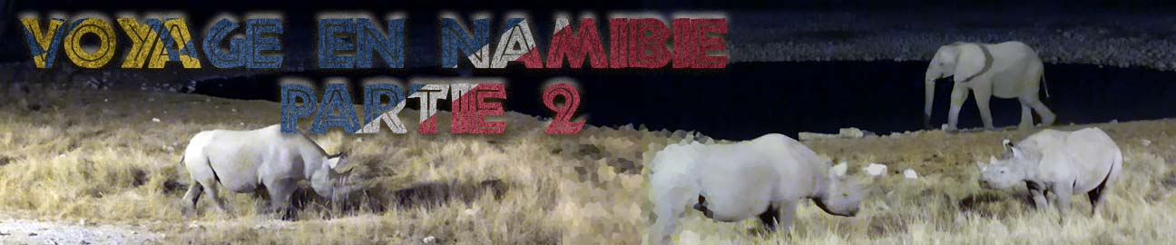 Bannière article voyage en namibie part2